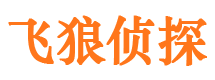 舞阳侦探